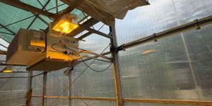 Green House Polycarbonate Sheet