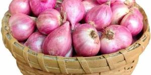 A Grade Dry Shallots Onion