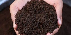 biochar vermicompost