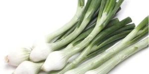 Fresh Green Onion