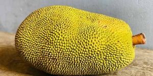 Fresh Jack Fruit