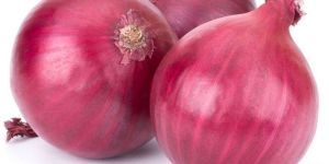 Fresh Red Onion