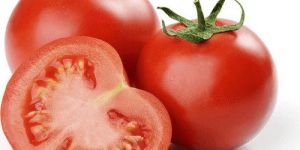 Fresh Red Tomato