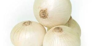Fresh White Onion