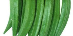 Green Fresh Lady Finger