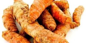 Organic Fresh Turmeric