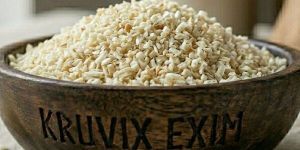 Dehydrated White Onion Minced