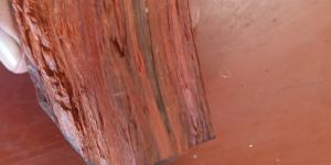 Red Sandalwood
