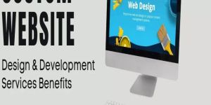 Custom Website Development Service