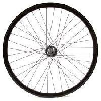 Bicycle Spokes
