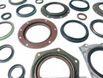 Rubber Oil Seals
