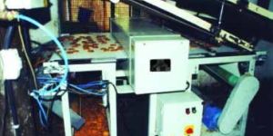 Electronic Metal Detector