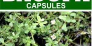 Bacopa Capsules