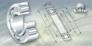 Cylindrical Roller Bearings