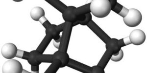 Camphor Powder