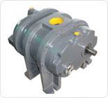 Gas Blowers