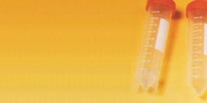 PCR Tubes