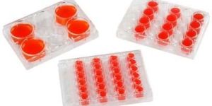 Tissue Culture Plates