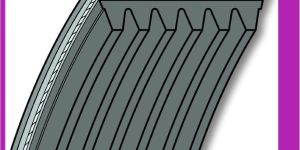 Poly V Belt