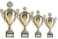 Sports Cups