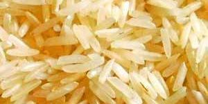 1121 Golden Sella Rice