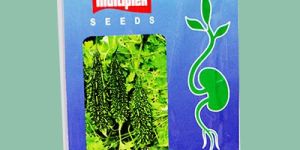 Kahi-(Bitter-gourd) seeds