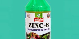 Zinc-B