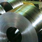 Cold & Hot Rolled Sheets