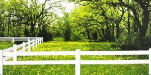 Picket Fence