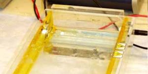 Electrophoresis Apparatus