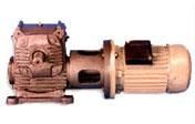 Reduction Gear Motor