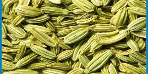 Fennel Seeds
