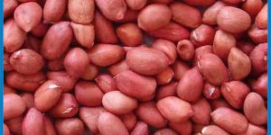 Ground Nut