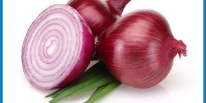 Onion