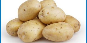 Potato