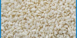 Sesame Seeds