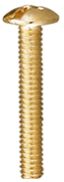 Brass Machine Screws