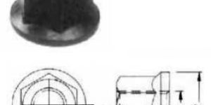 Flange Nut