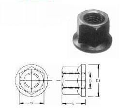 Flange Nut