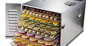 Vegetable Dryer