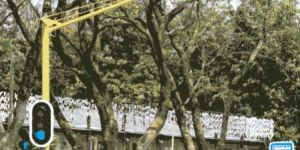 Traffic Signal Poles