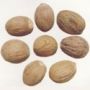 Nutmeg