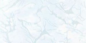 Ceramic Wall Tiles-1178