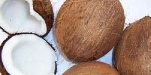 Semi Husked Coconuts