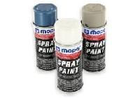 Touch up Spray Paint