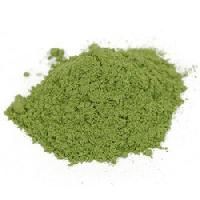 Gymnema Sylvestre Extract