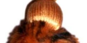 Key Tassels (Natural Fur and Ribbon Tassel)