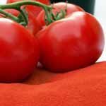 Tomato Powder