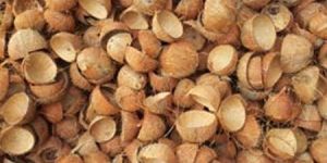 Coconut Shell