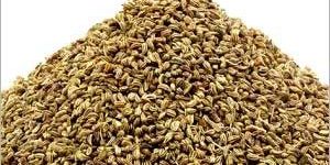 Fennel Seeds